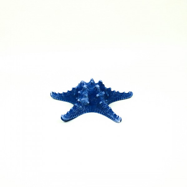 Estrela do Mar em Resina Decorativa Azul Marinho M