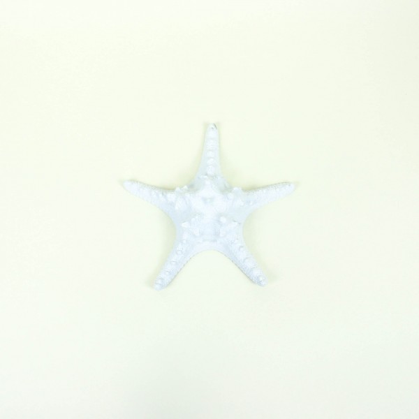 Estrela do Mar em Resina Decorativa Branca M