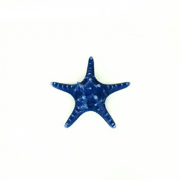 Estrela do Mar em Resina Decorativa Azul Marinho M